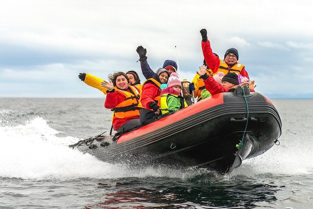 Avistamiento de delfines australes 01